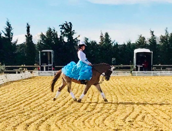 poney 2 libre